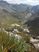 Edelweiss avec les arretes de la Bruyere et le lac 